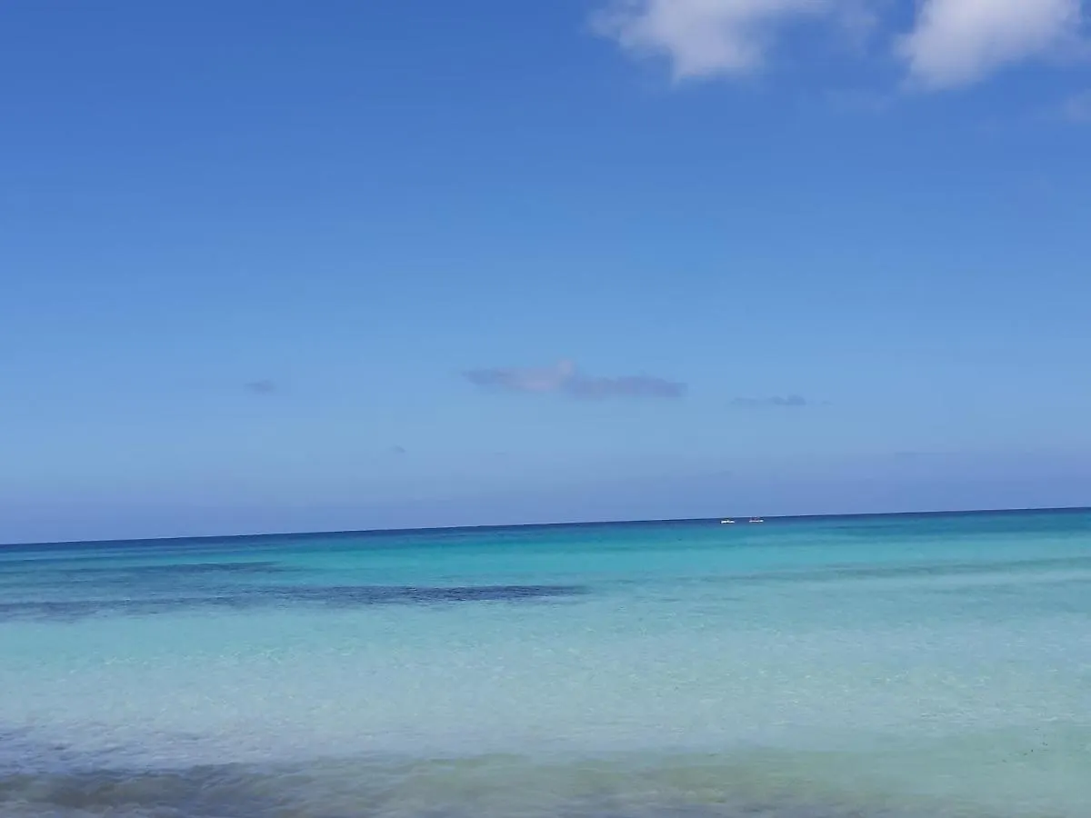Apartmán Finestra Azzurra San Vito Lo Capo 0*,  Itálie