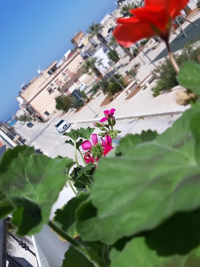 Finestra Azzurra Apartment San Vito Lo Capo